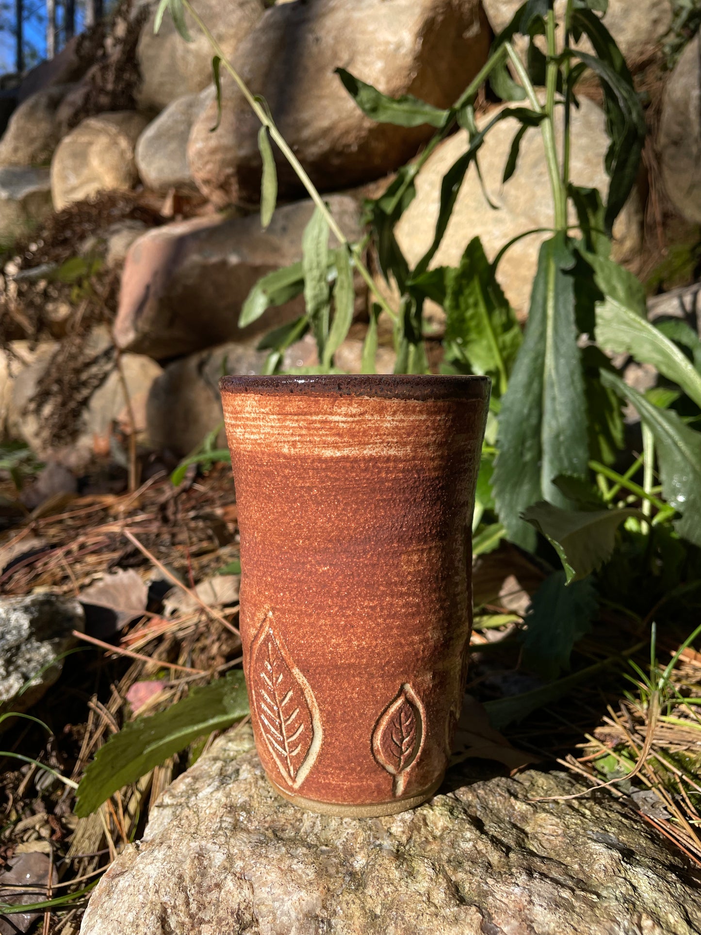 Fall Leaves Cup