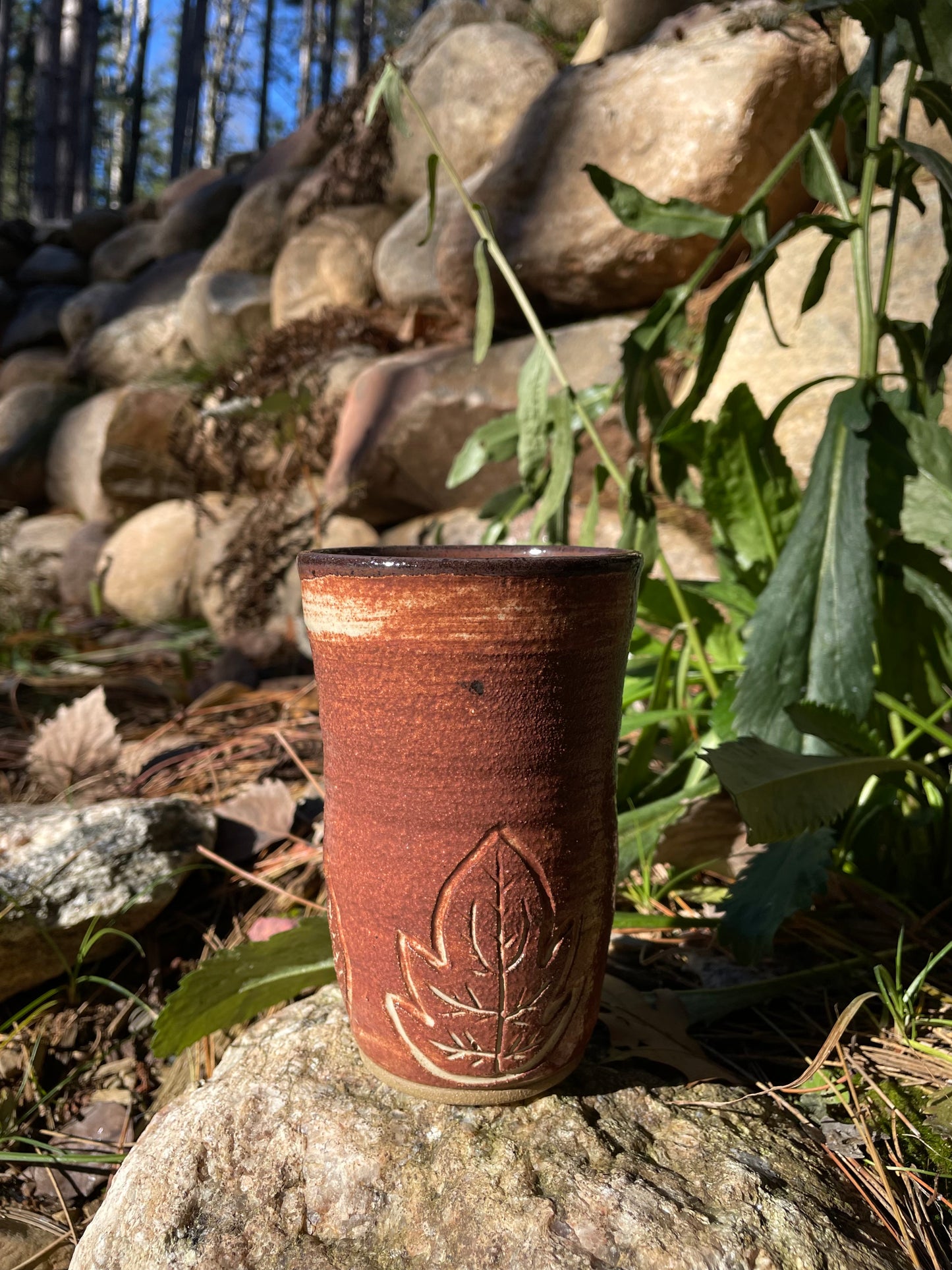 Fall Leaves Cup